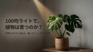 100均ライトで植物は育つのか？予算をかけずに始めるグリーンライフ入門のスライド表紙