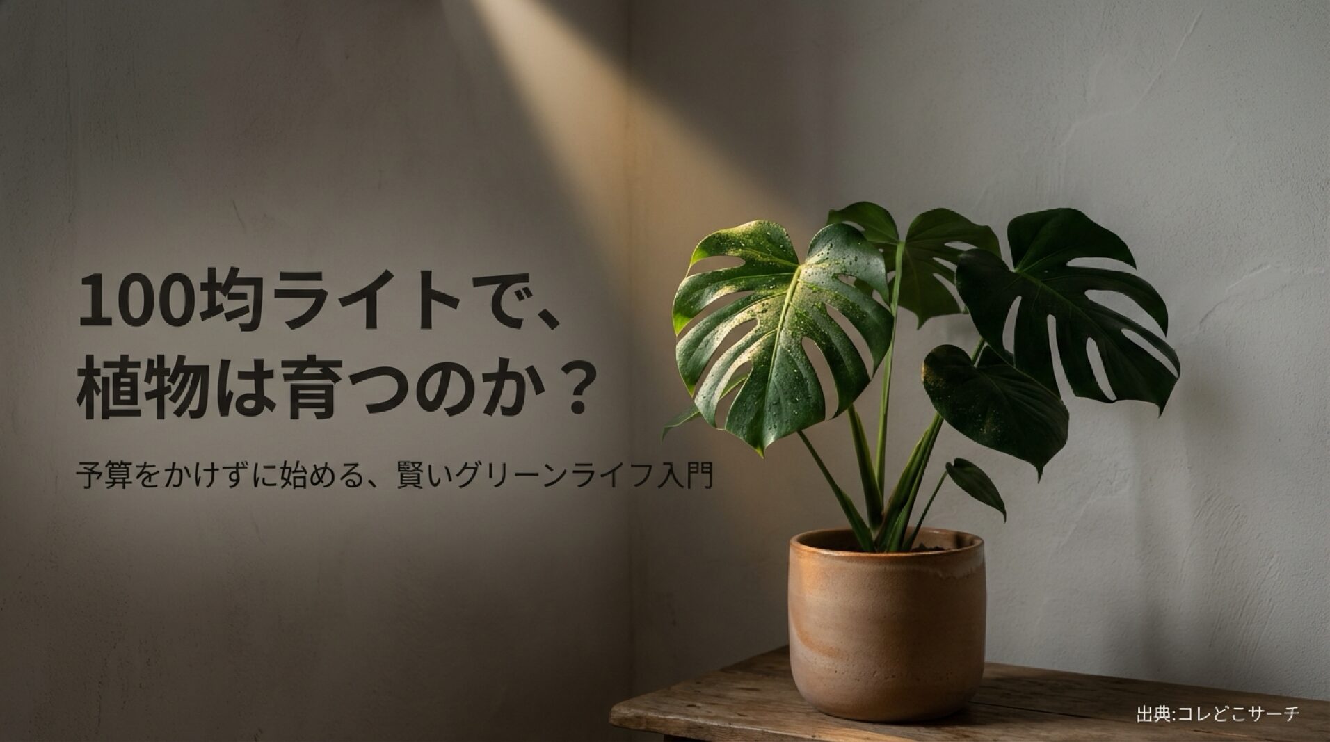 100均ライトで植物は育つのか？予算をかけずに始めるグリーンライフ入門のスライド表紙