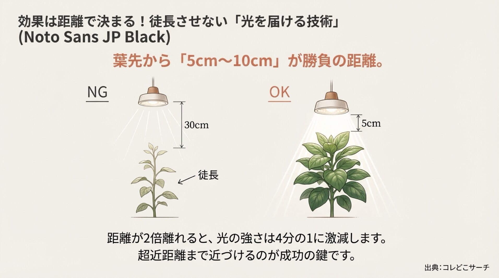 ライトの距離は葉先から5cm〜10cmが推奨され、30cm離れると徒長する図解