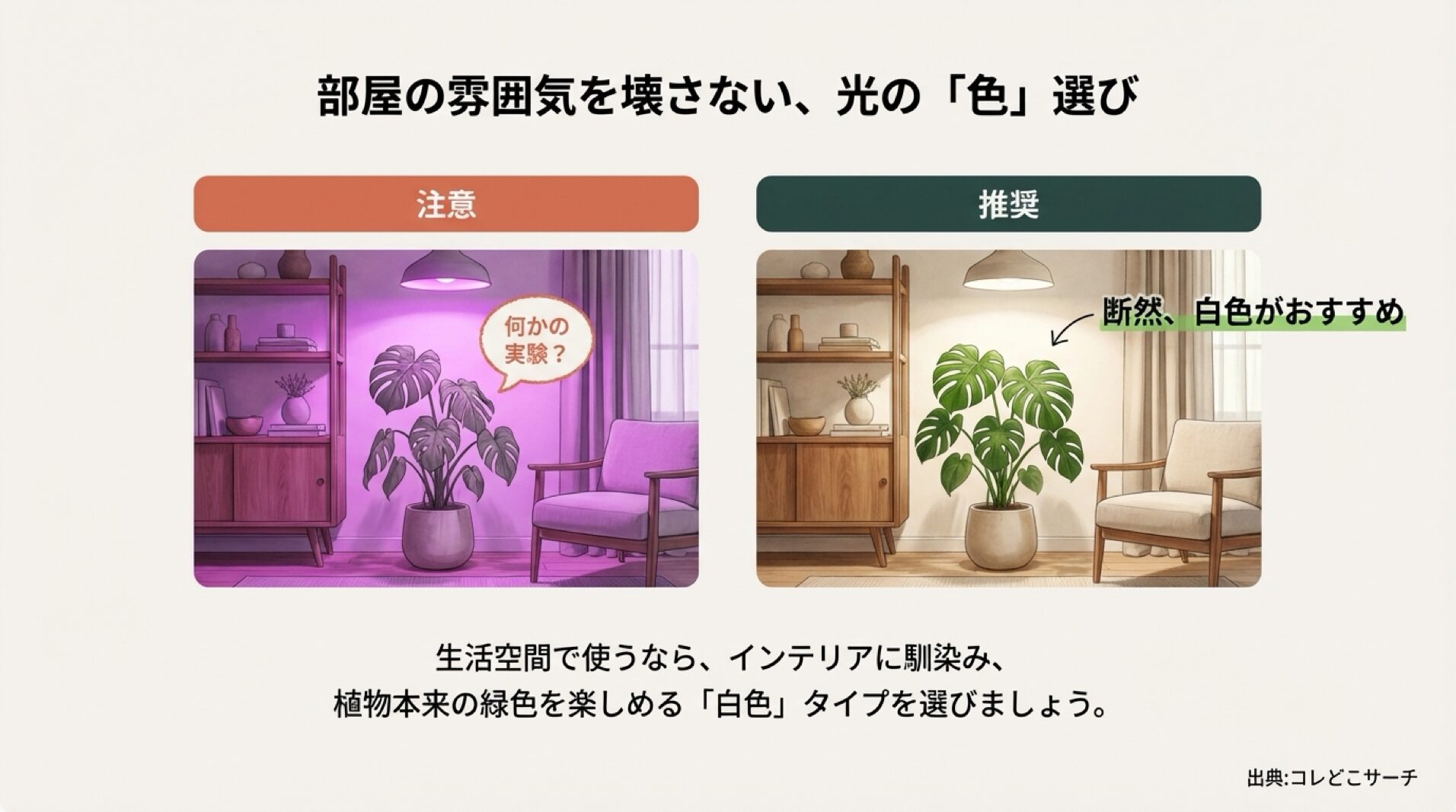 紫色の育成ライトと白色の育成ライトの見た目を比較し、インテリアには白色を推奨する図