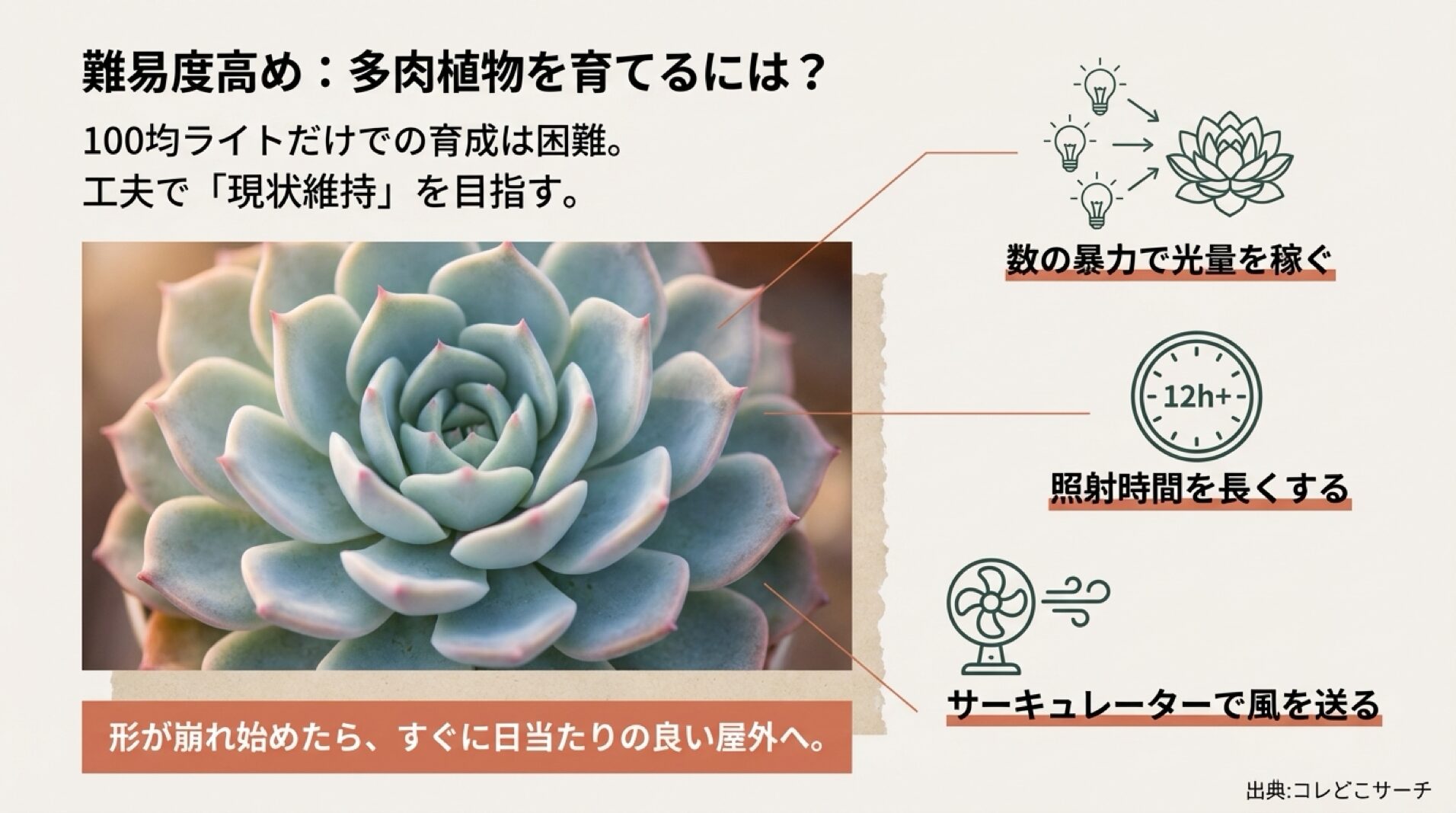 多肉植物を育てるための工夫（数の暴力、長時間照射、サーキュレーター）をまとめた図